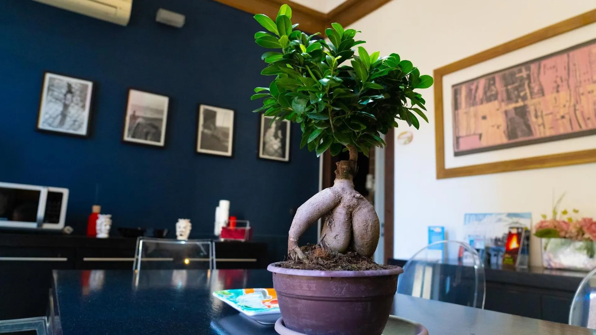 B&B Opera Catánia